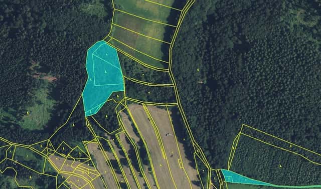Prodej lesa 11 901 m², Drozdov, okres Šumperk