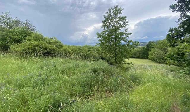 Prodej pole 10 485 m², Řehlovice, okres Ústí nad Labem
