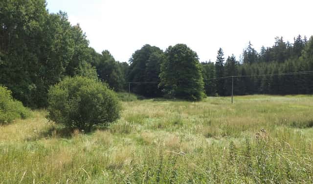 Prodej pole 13 137 m², Chodský Újezd – Nahý Újezdec, okres Tachov