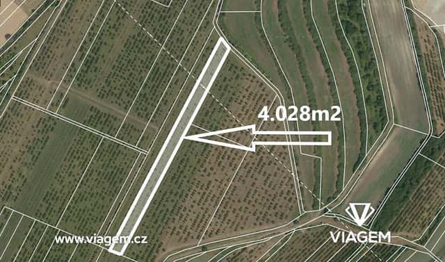 Prodej pole 4 028 m², Kobylí, okres Břeclav