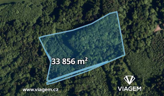 Prodej lesa 5 078 m², Životice u Nového Jičína, okres Nový Jičín
