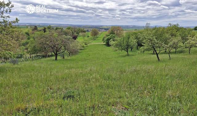 Prodej zahrady 3 069 m², Sivice, okres Brno-venkov
