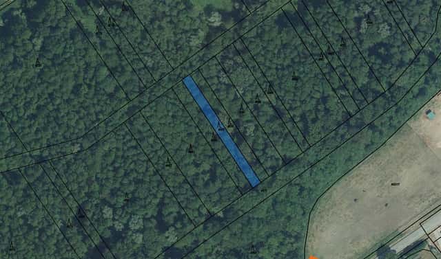 Prodej lesa 155 m², Brod nad Dyjí, okres Břeclav