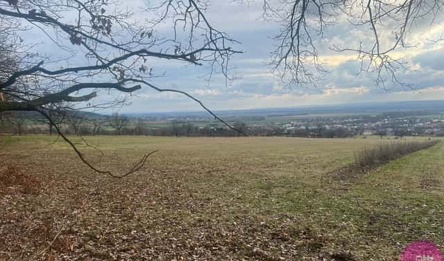 Prodej louky 27 123 m², Bělkovice-Lašťany, okres Olomouc