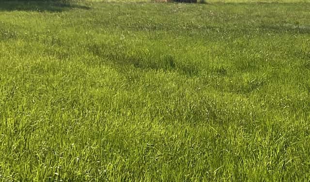 Prodej stavebního pozemku 1 288 m², Dobrá, okres Frýdek-Místek