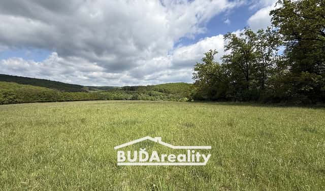 Prodej pole 15 000 m², Luhačovická, Bojkovice, okres Uherské Hradiště