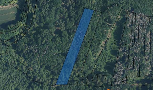 Prodej lesa 1 541 m², Svinošice, okres Blansko