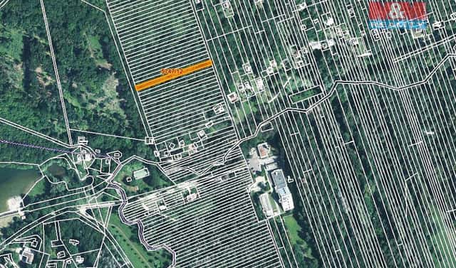 Prodej lesa 953 m², Kněždub, okres Hodonín