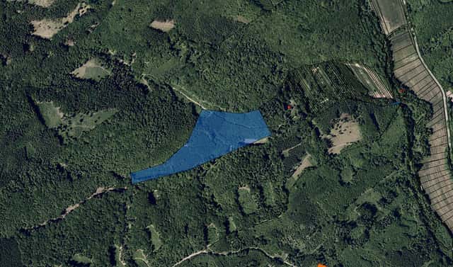 Prodej lesa 645 m², Velehrad, okres Uherské Hradiště
