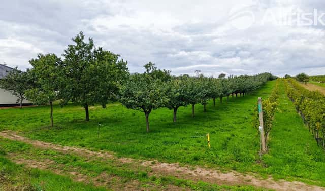 Prodej stavebního pozemku 1 865 m², Starý Poddvorov, okres Hodonín