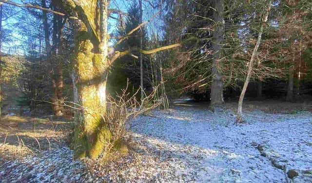 Prodej pozemku 2 391 m², Čachrov – Javorná, okres Klatovy