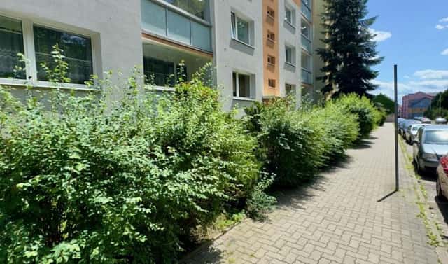 Pronájem bytu 2+kk 40 m², Havlíčkova, Česká Lípa