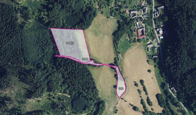 Prodej louky 23 694 m², Městečko Trnávka – Bohdalov, okres Svitavy
