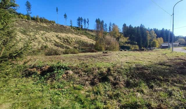 Prodej zahrady 2 666 m², Staré Buky – Horní Staré Buky, okres Trutnov