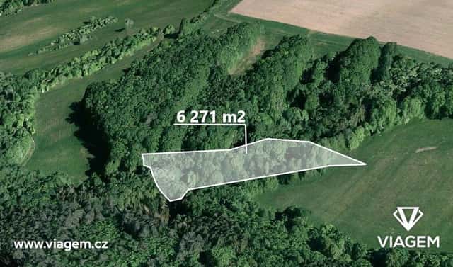 Prodej lesa 1 567 m², Velký Ořechov, okres Zlín