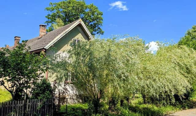 Prodej domu 70 m² s pozemkem 564 m², Okrouhlice – Vadín, okres Havlíčkův Brod