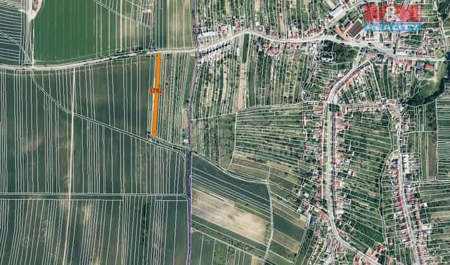 Prodej pole 523 m², Ježov, okres Hodonín