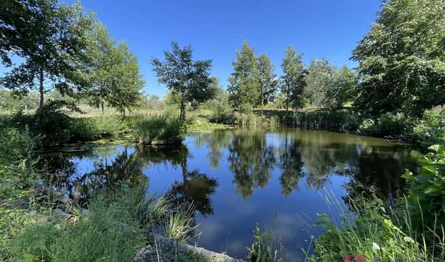 Prodej stavebního pozemku 4 463 m², Břeclav – Poštorná