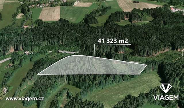 Prodej lesa 41 323 m², Loužnice, okres Jablonec nad Nisou