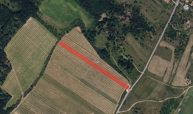 Prodej pole 1 139 m², Znojmo – Popice