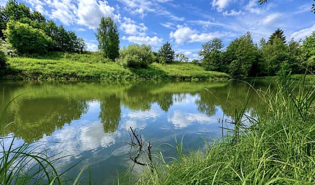 Prodej vodní plochy 25 771 m², Dačice, okres Jindřichův Hradec