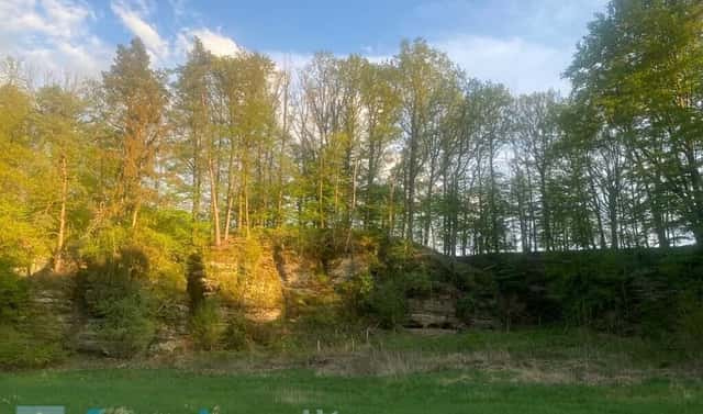 Prodej pole 3 829 m², Tachov, okres Česká Lípa