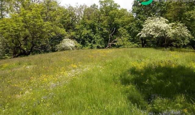 Prodej zahrady 679 m², Krňany, okres Benešov