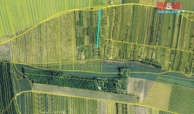 Prodej pole 1 597 m², Brumovice, okres Břeclav