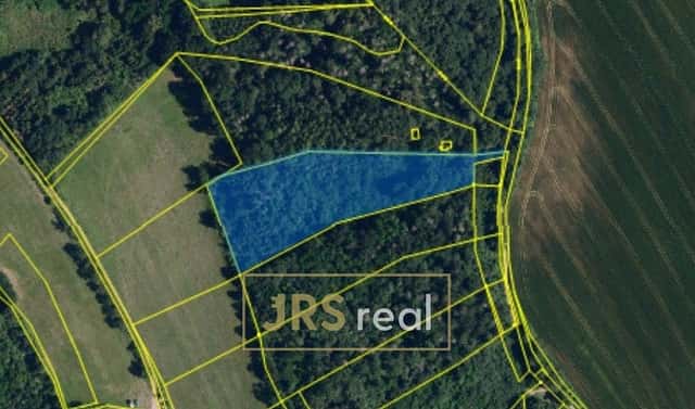 Prodej lesa 7 323 m², Březina, okres Brno-venkov