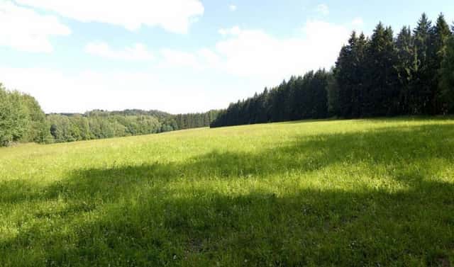 Prodej pole 47 177 m², Stará Paka, okres Jičín