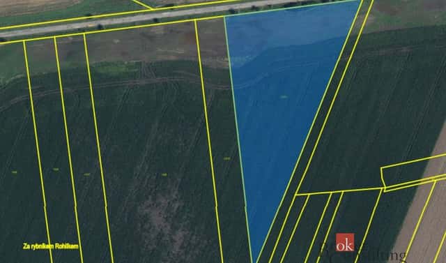 Prodej pole 28 045 m², Nový Bydžov – Nová Skřeněř, okres Hradec Králové