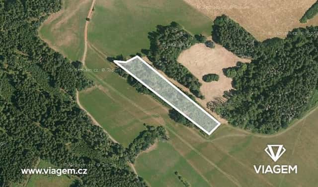 Prodej lesa 3 080 m², Dolany, okres Klatovy