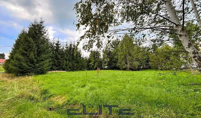 Prodej stavebního pozemku 1 569 m², Frýdlant – Albrechtice u Frýdlantu, okres Liberec