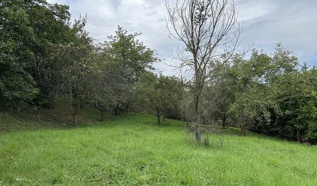 Prodej stavebního pozemku 1 252 m², Mládežnická, Bílina, okres Teplice