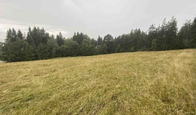 Prodej pozemku 1 842 m², Králíky, okres Ústí nad Orlicí