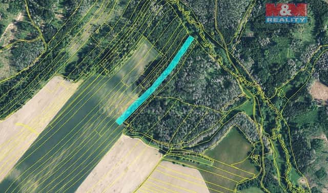 Prodej lesa 1 811 m², Velká Bíteš, okres Žďár nad Sázavou