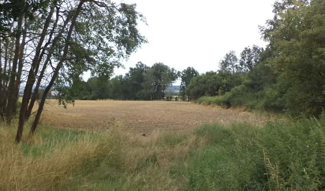 Prodej zahrady 1 100 m², Heřmanova Huť – Vlkýš, okres Plzeň-sever