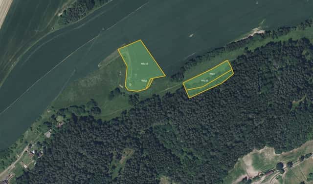 Prodej pole 10 933 m², Proseč pod Ještědem – Javorník, okres Liberec