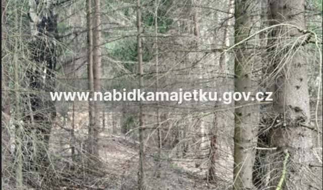 Prodej lesa 709 m², Ruda nad Moravou, okres Šumperk