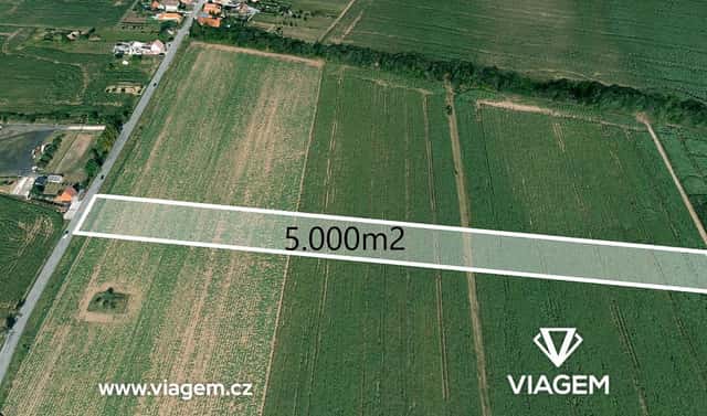 Prodej pole 5 000 m², Znojmo