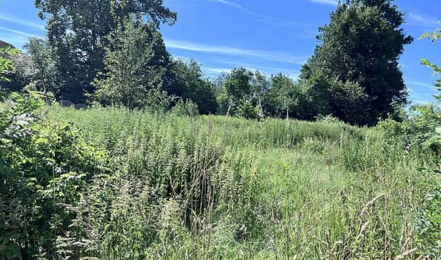 Prodej stavebního pozemku 1 039 m², Čermná ve Slezsku, okres Opava