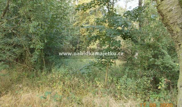 Prodej lesa 423 m², Útušice, okres Plzeň-jih