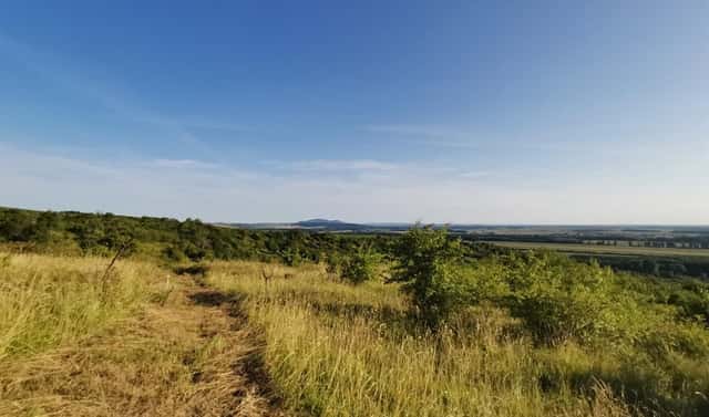 Prodej zahrady 1 751 m², Židlochovice, okres Brno-venkov