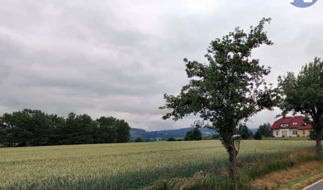 Prodej stavebního pozemku 7 124 m², Vrbice, okres Prachatice