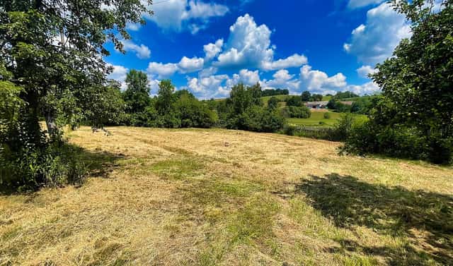 Prodej stavebního pozemku 1 357 m², Zadní Střítež, okres Tábor