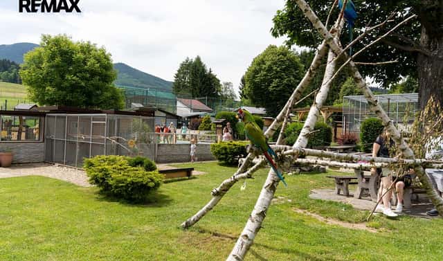 Prodej zemědělského objektu 871 m², Lipová-lázně – Horní Lipová, okres Jeseník