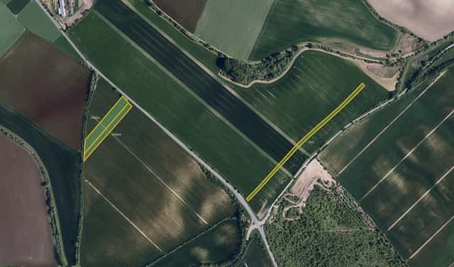 Prodej pole 19 820 m², Klobouky u Brna, okres Břeclav