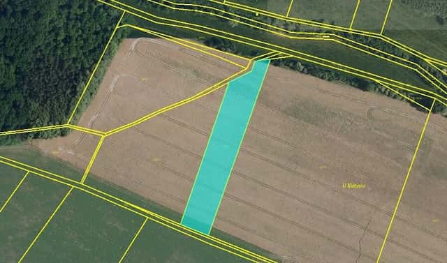 Prodej pole 11 781 m², Dětenice – Brodek, okres Jičín