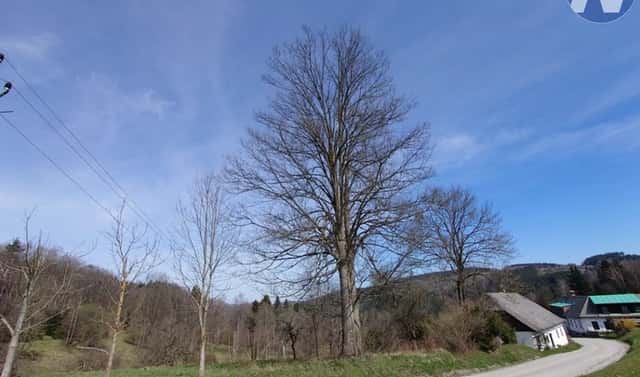 Prodej stavebního pozemku 3 652 m², Záblatí, okres Prachatice