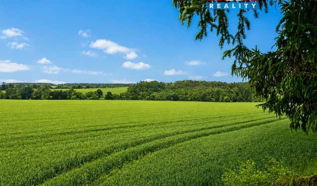 Prodej pole 7 484 m², Borovany, okres Písek